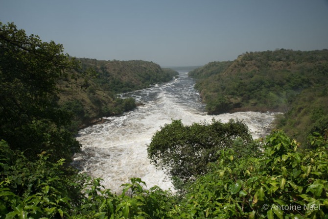 Murchisson Falls, Ouganda